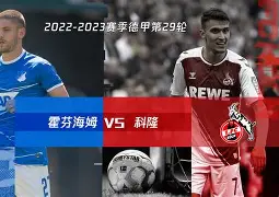 霍芬海姆主场失利，积分遭遇滑落！的简单介绍